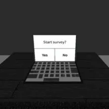 The Survey